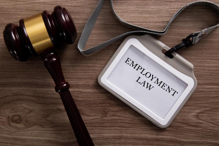 What is employment law